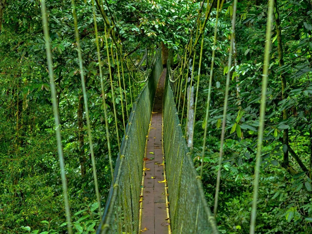 Hoogtepunten | Rama Tours