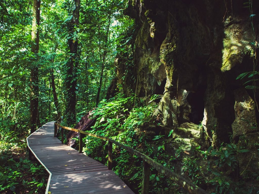Hoogtepunten | Rama Tours
