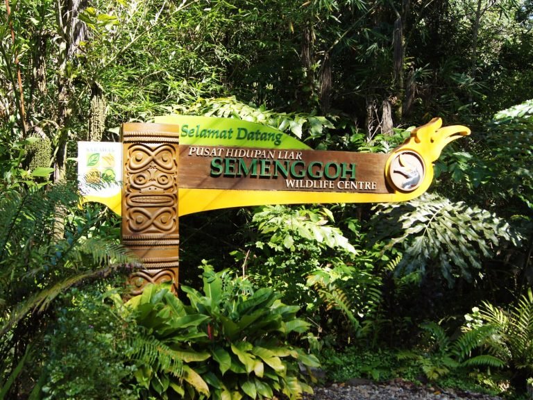 Hoogtepunten | Rama Tours