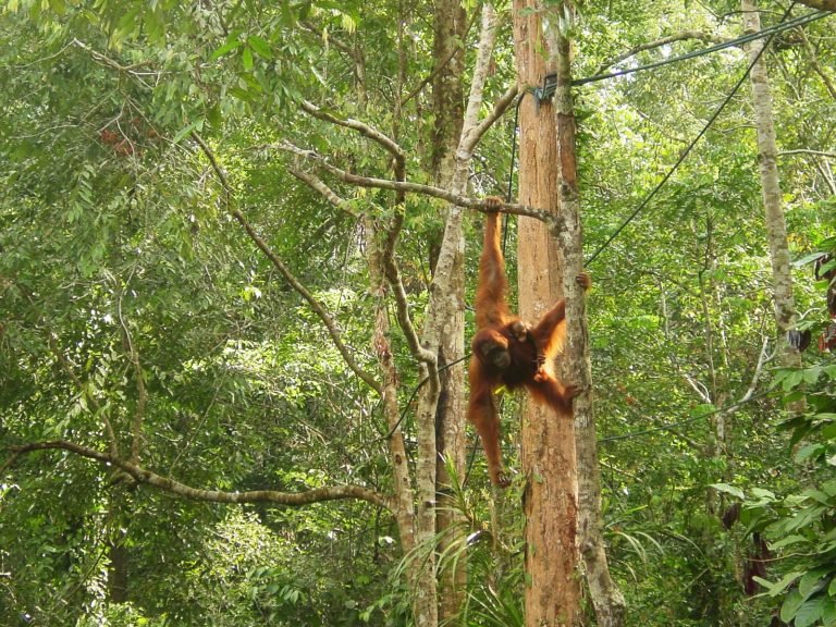 Hoogtepunten | Rama Tours