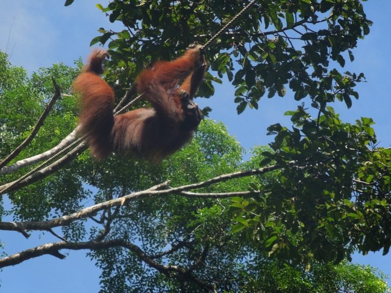 Hoogtepunten | Rama Tours