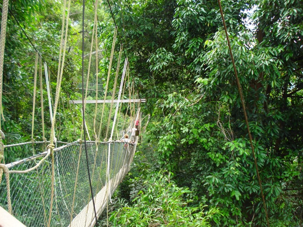 Taman Negara | Rama Tours
