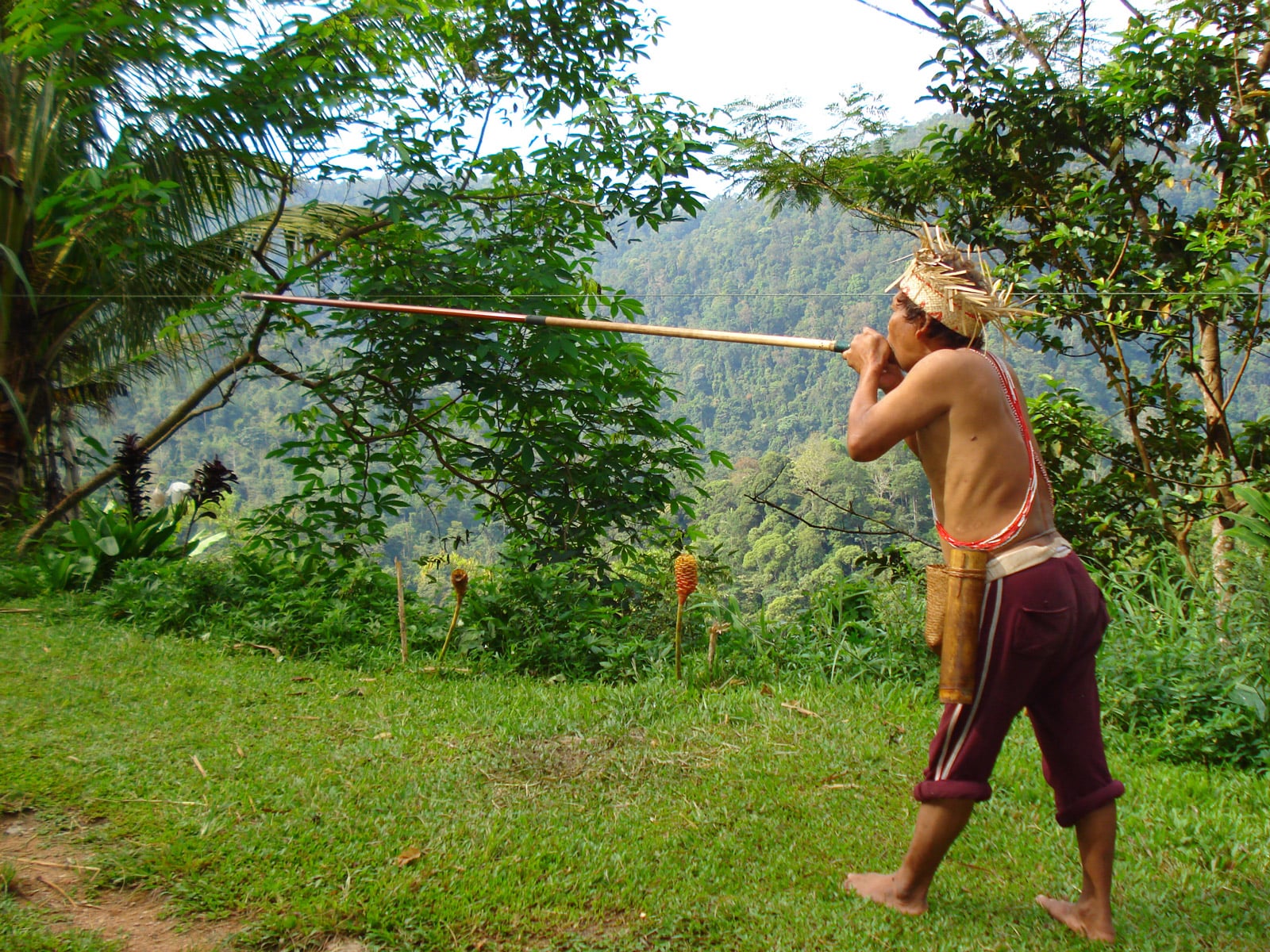 rondreis maleisie west-maleisie cameron highlands hoogtepunt 5
