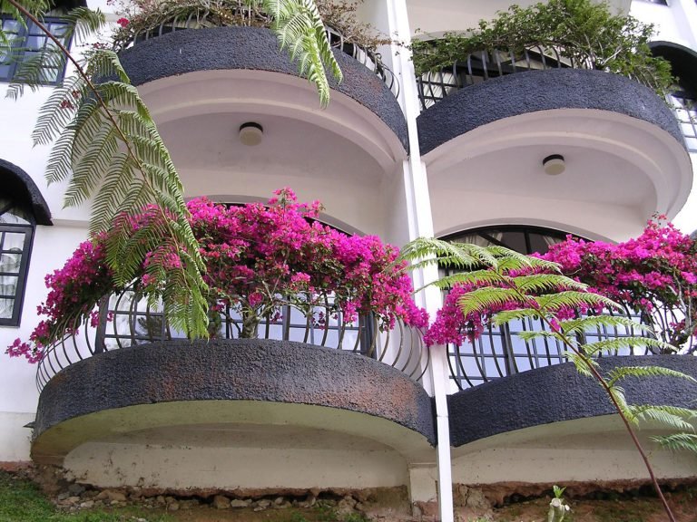 Hotels | Rama Tours