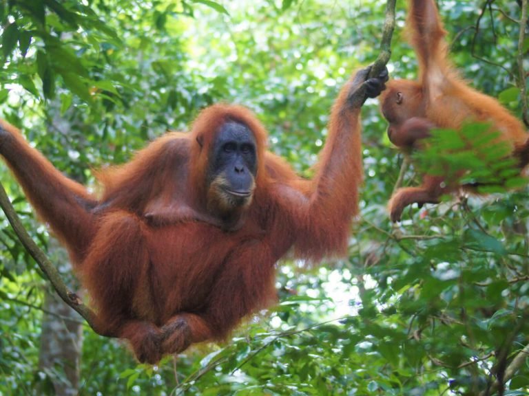 Hoogtepunten | Rama Tours