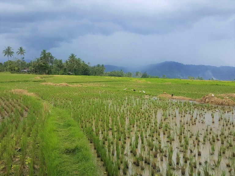 Hoogtepunten | Rama Tours