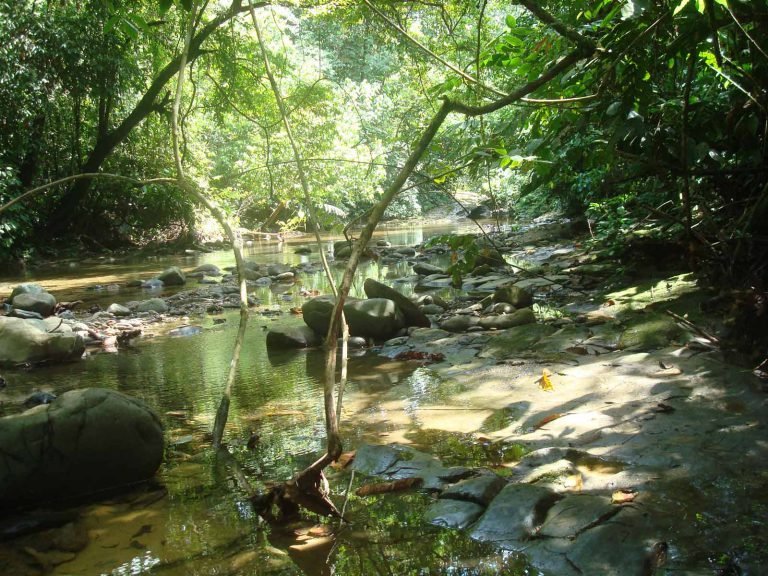 Hoogtepunten | Rama Tours