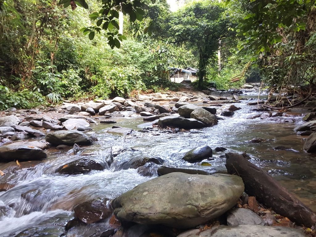 Avontuur en cultuur in West-Maleisië en Sumatra | Rama Tours