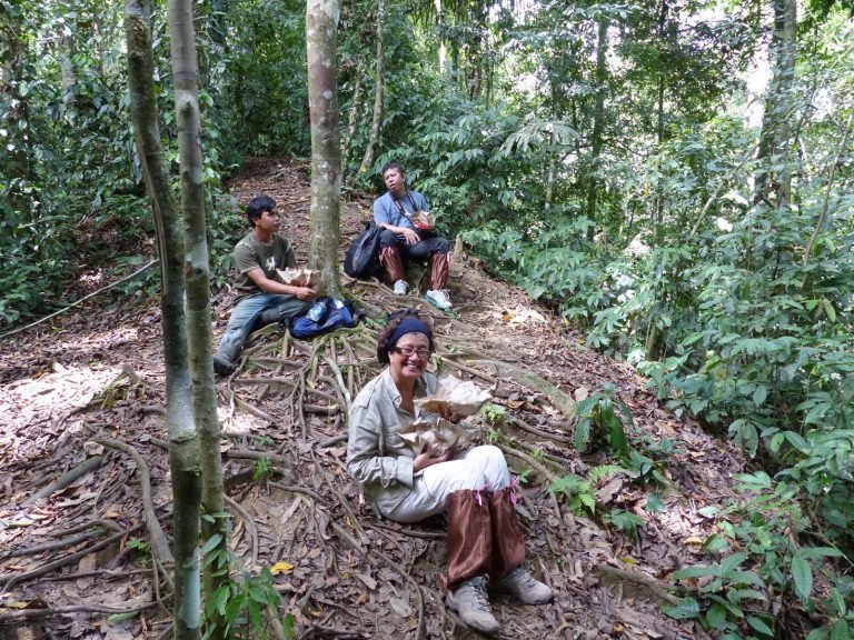 Hoogtepunten | Rama Tours