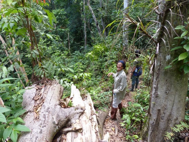 Hoogtepunten | Rama Tours