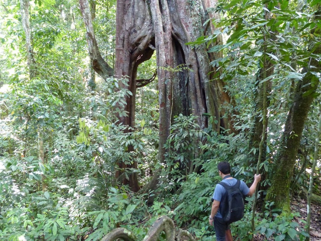 Hoogtepunten | Rama Tours