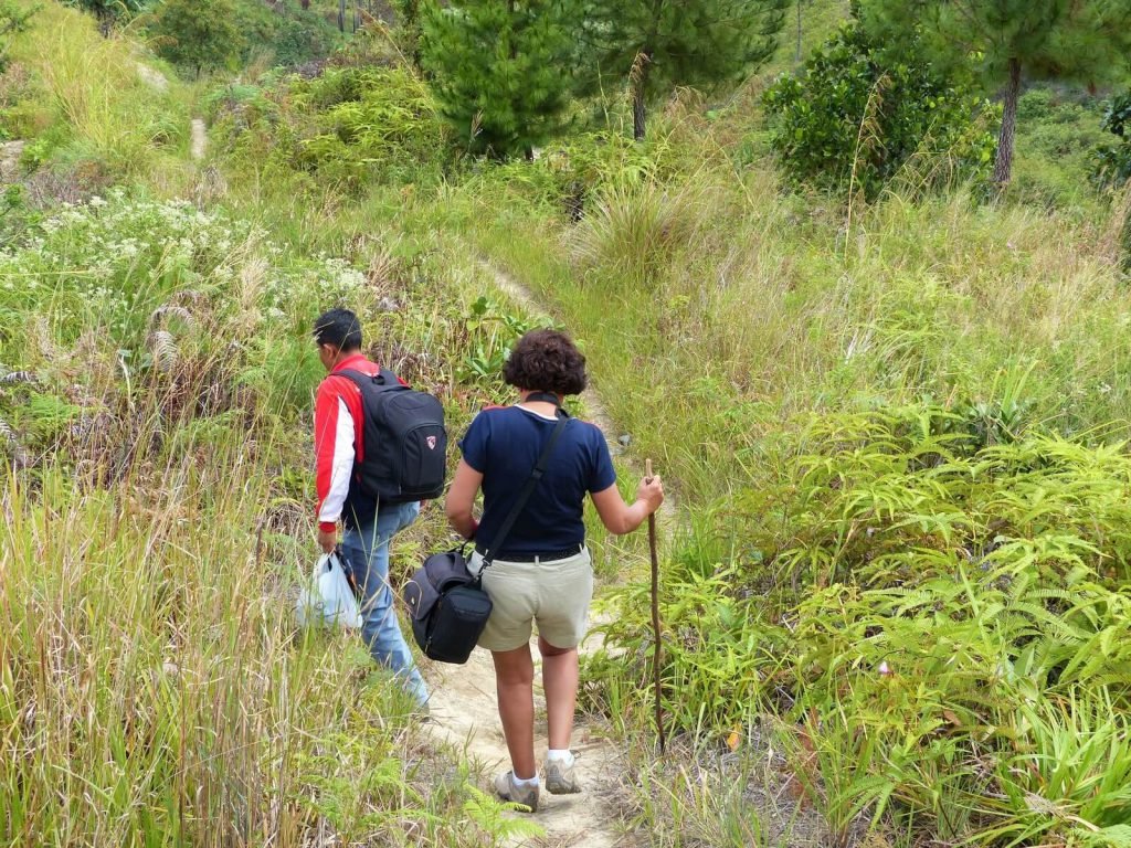 Trekking Samosir Tobameer | Rama Tours