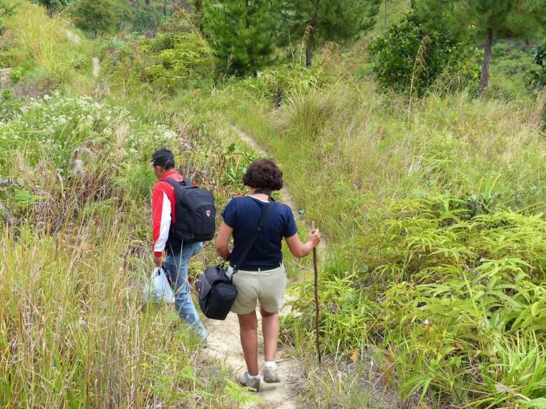 Hoogtepunten | Rama Tours