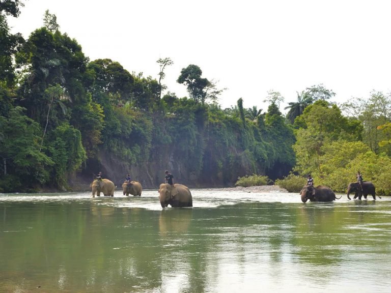 Hoogtepunten | Rama Tours