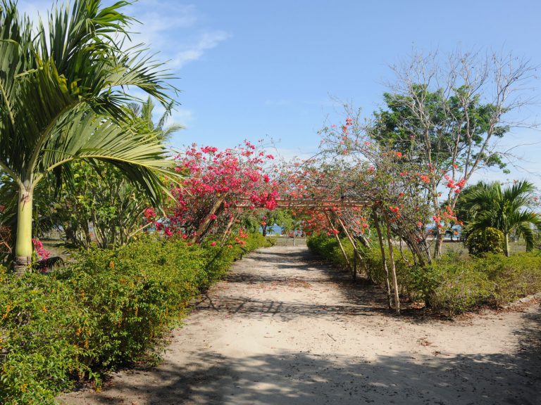Hotels | Rama Tours