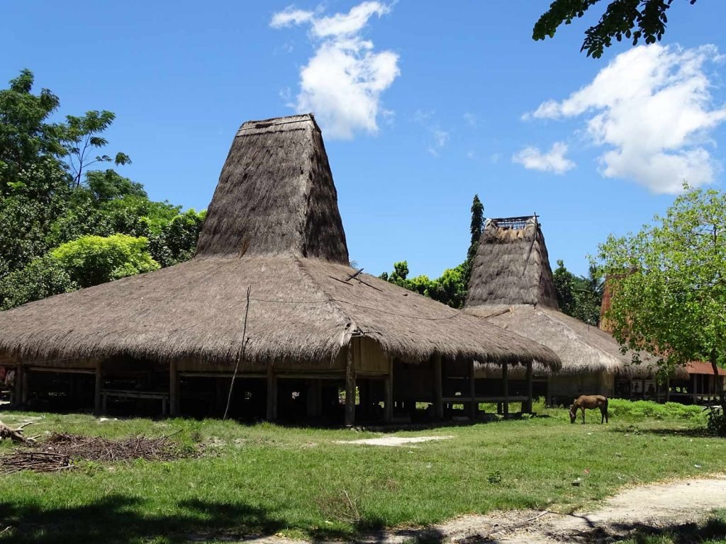Sumba, Waingapu | Rama Tours