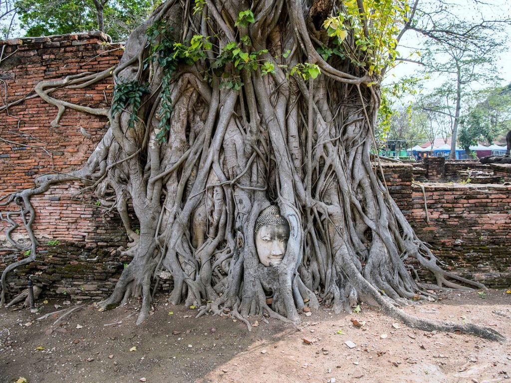 Hoogtepunten | Rama Tours