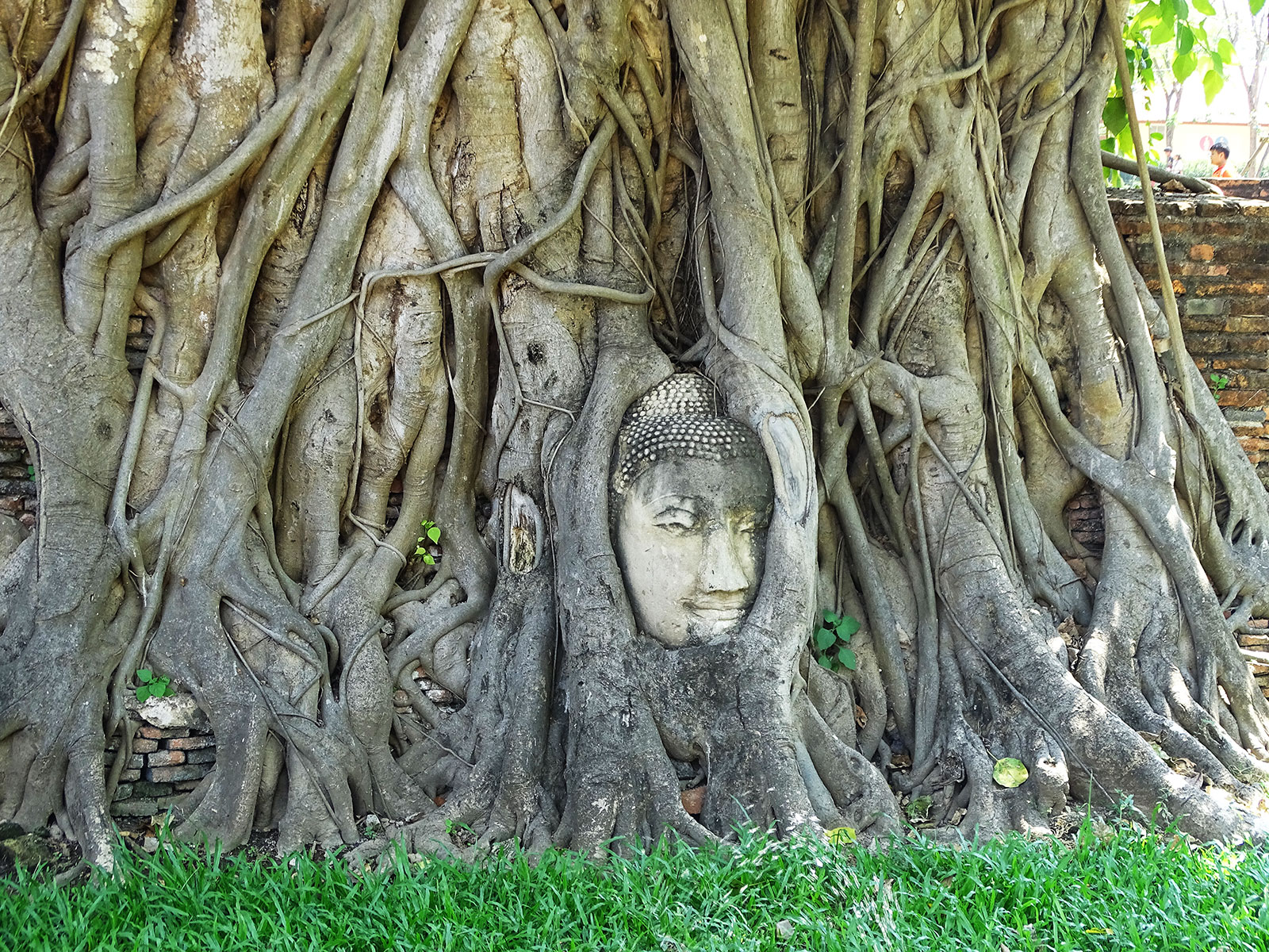 rondreis thailand ayutthaya wat mahathat 2