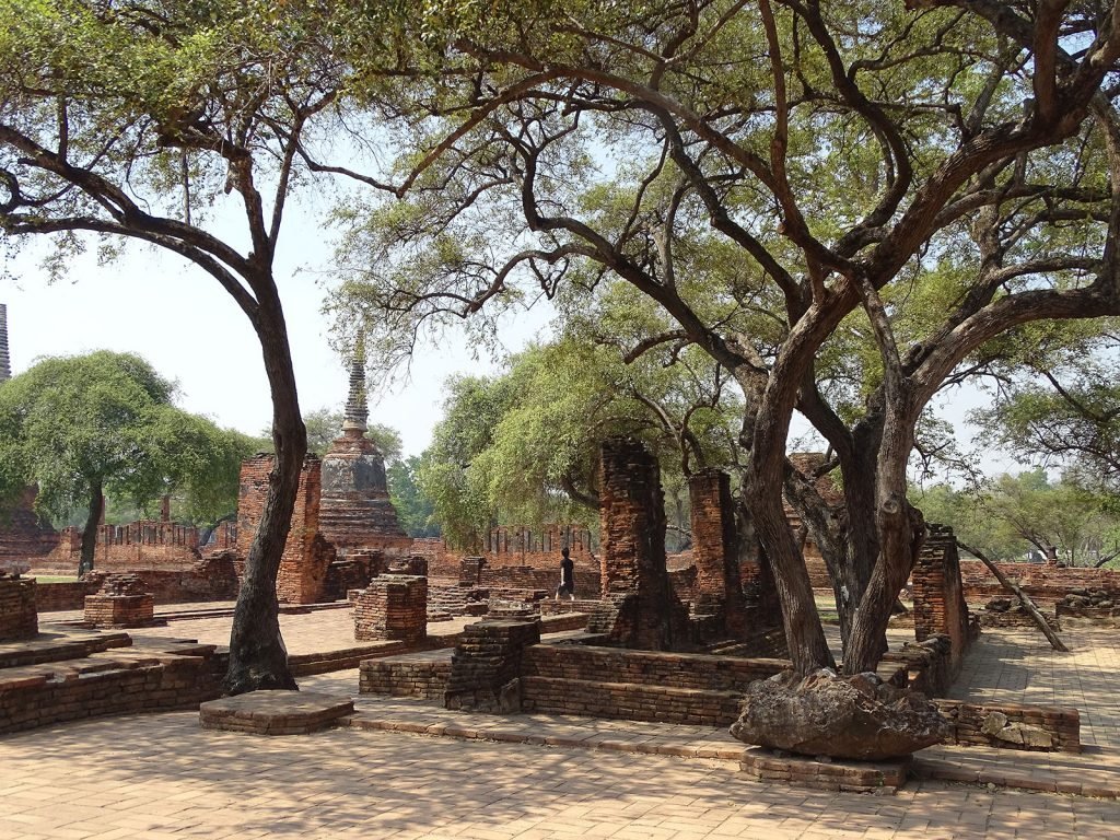 Hoogtepunten | Rama Tours