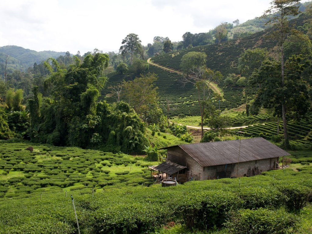 Hoogtepunten | Rama Tours