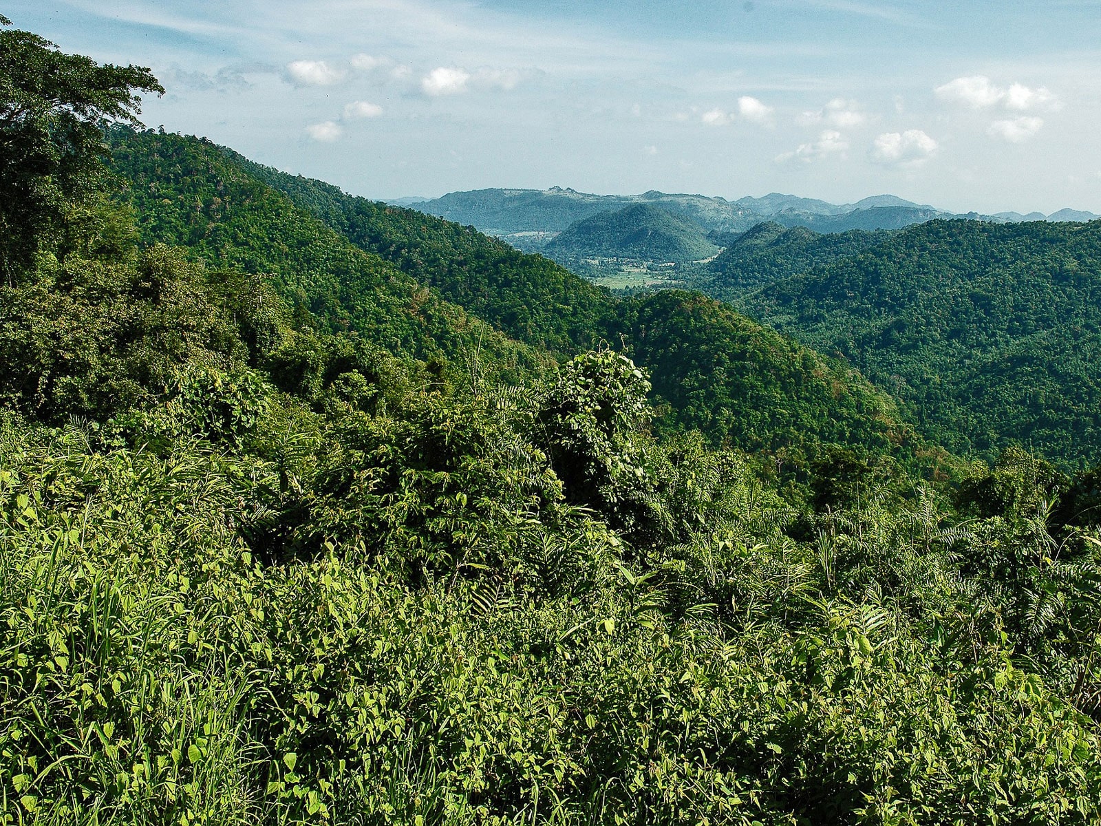 rondreis thailand khao yai national park hoogtepunt 2