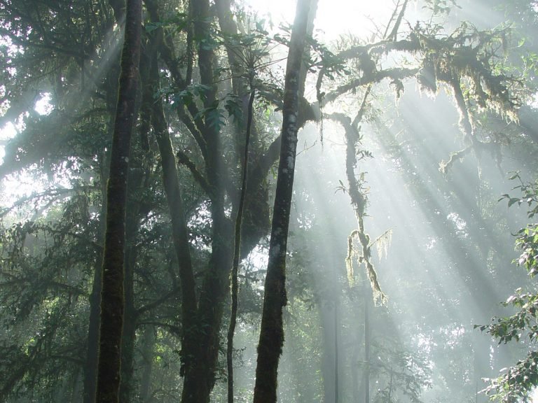 Hoogtepunten | Rama Tours