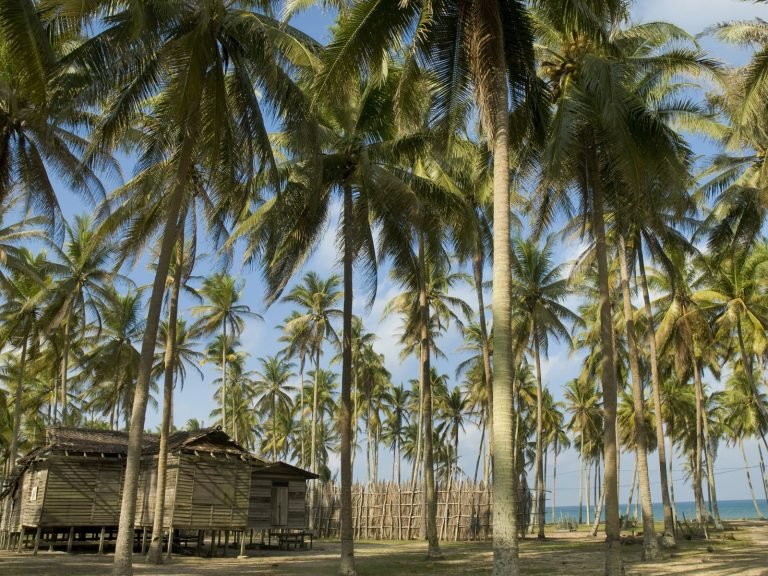Hoogtepunten | Rama Tours