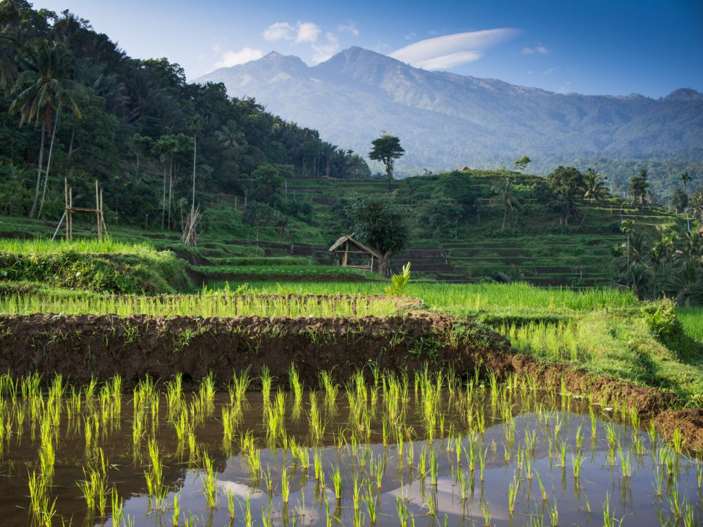 rondreis lombok senaru hoogtepunt 1