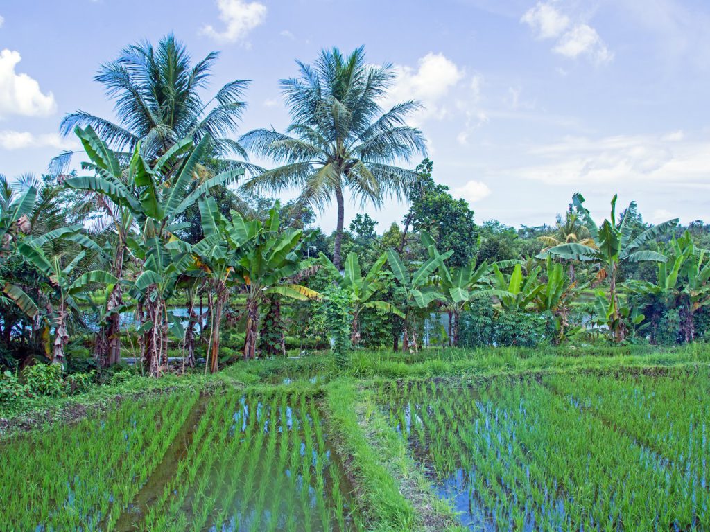 Hoogtepunten | Rama Tours