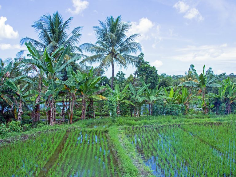 Hoogtepunten | Rama Tours