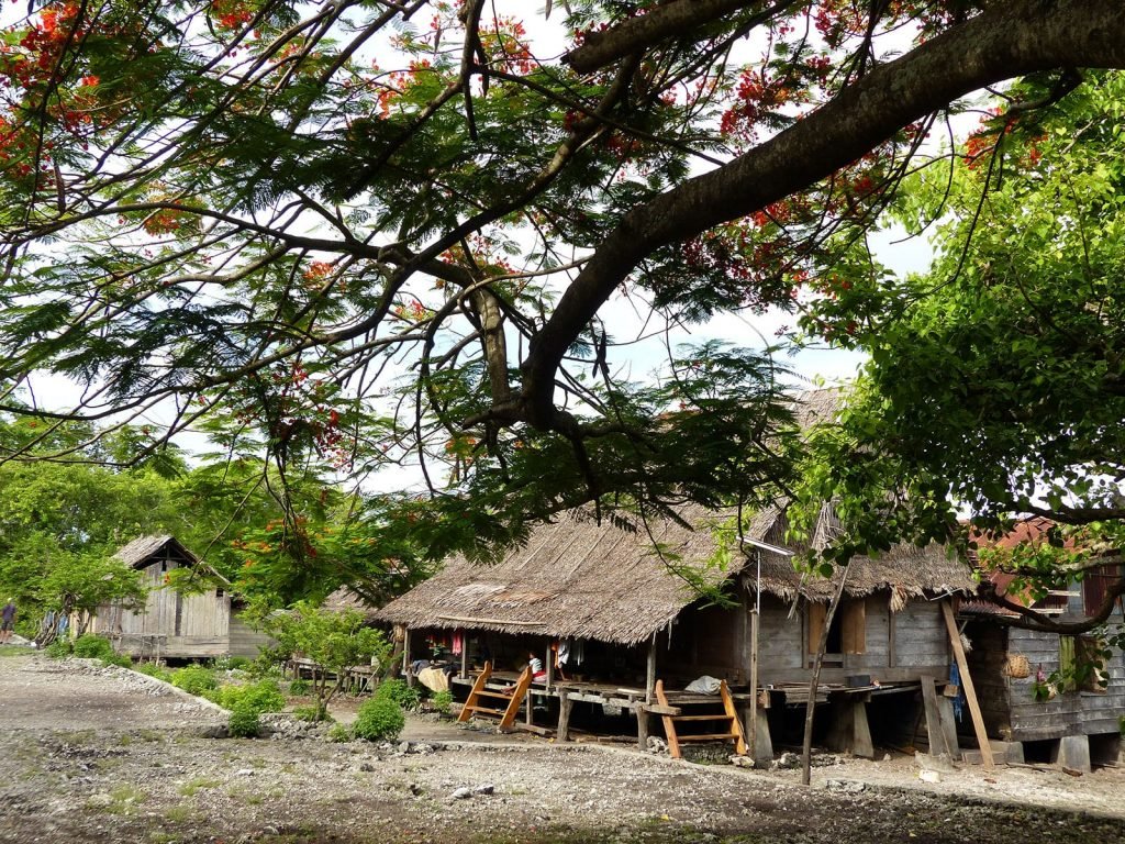 Hoogtepunten | Rama Tours