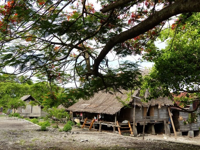 Hoogtepunten | Rama Tours