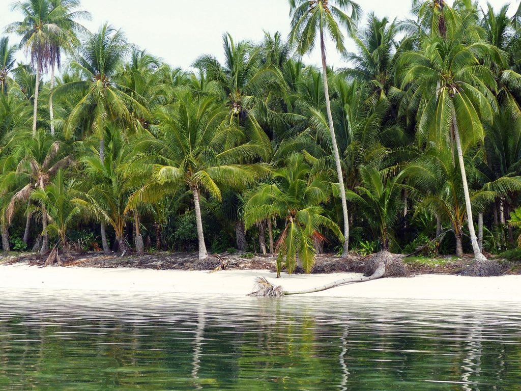 Hoogtepunten | Rama Tours