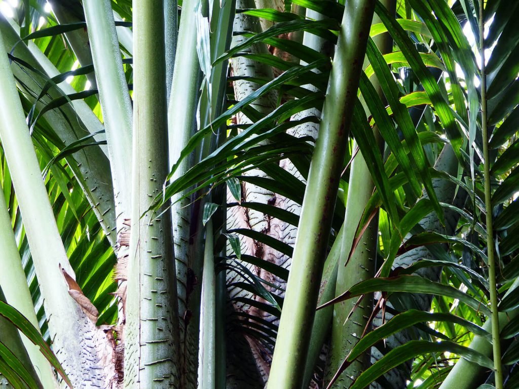 Hoogtepunten | Rama Tours
