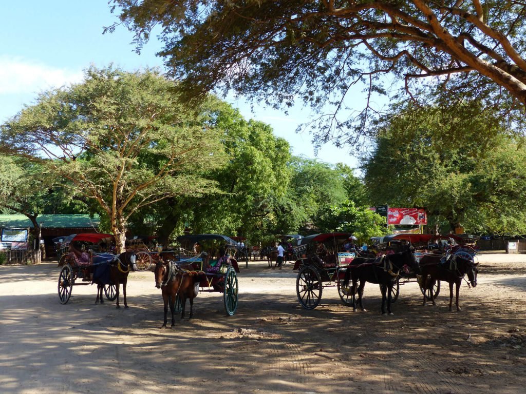 Hotels | Rama Tours
