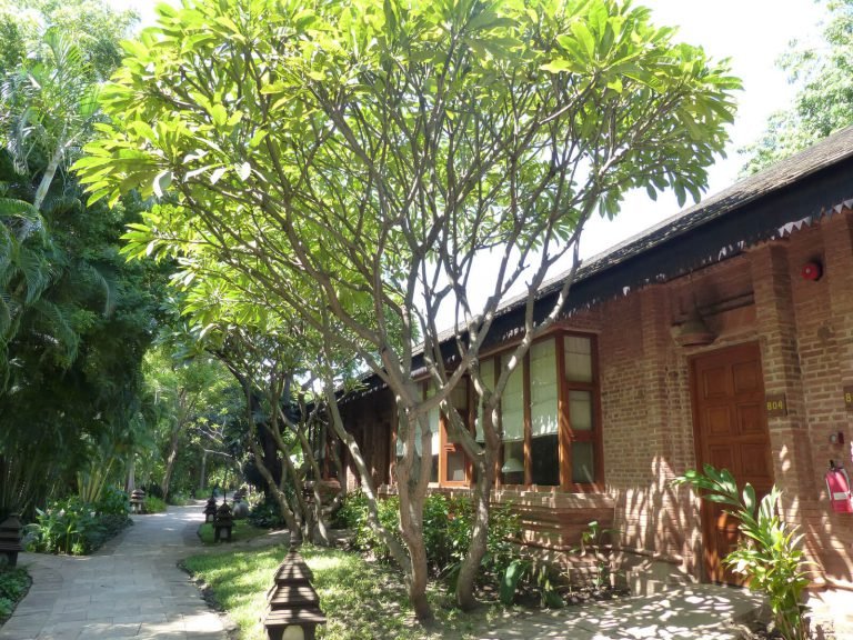 Hotels | Rama Tours