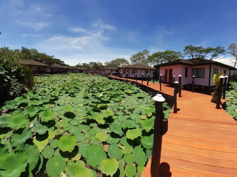 Hotels | Rama Tours