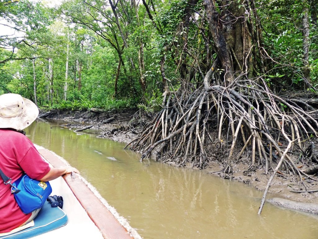 Hoogtepunten | Rama Tours