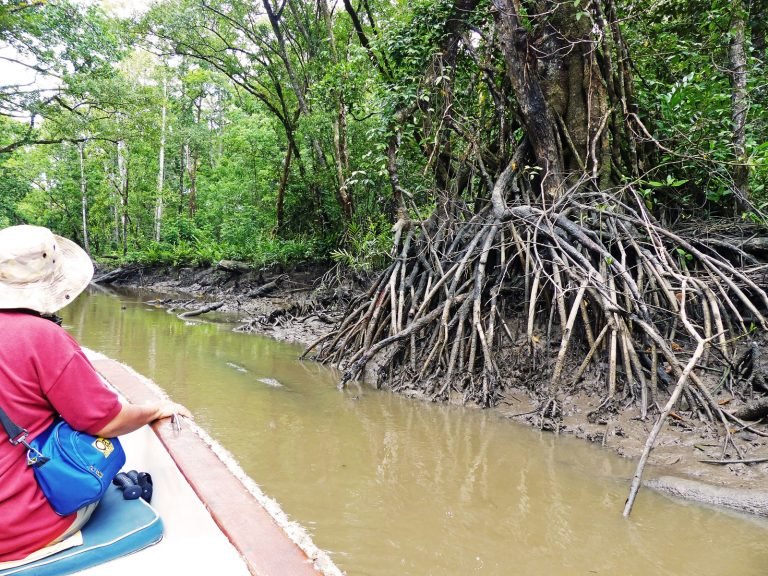 Hoogtepunten | Rama Tours