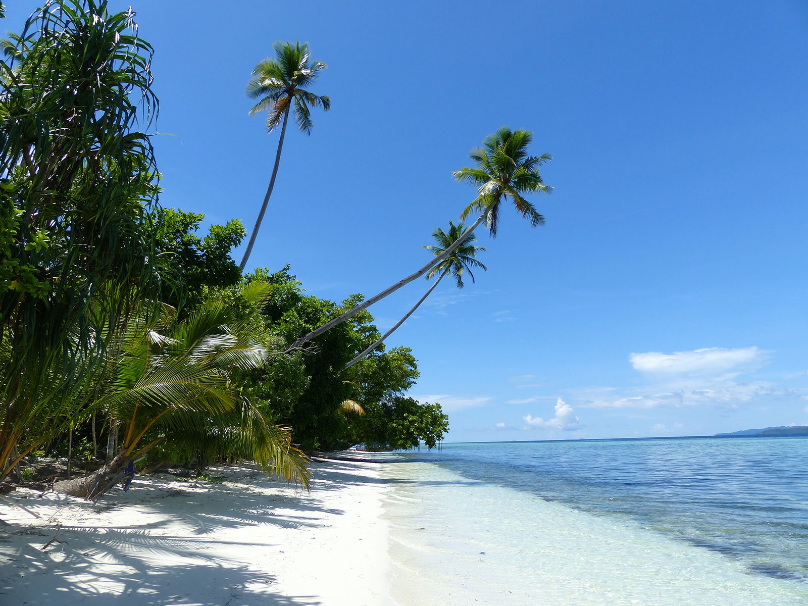 rondreis papua raja ampat hoogtepunt 19