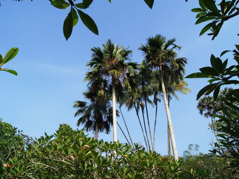 Hoogtepunten | Rama Tours
