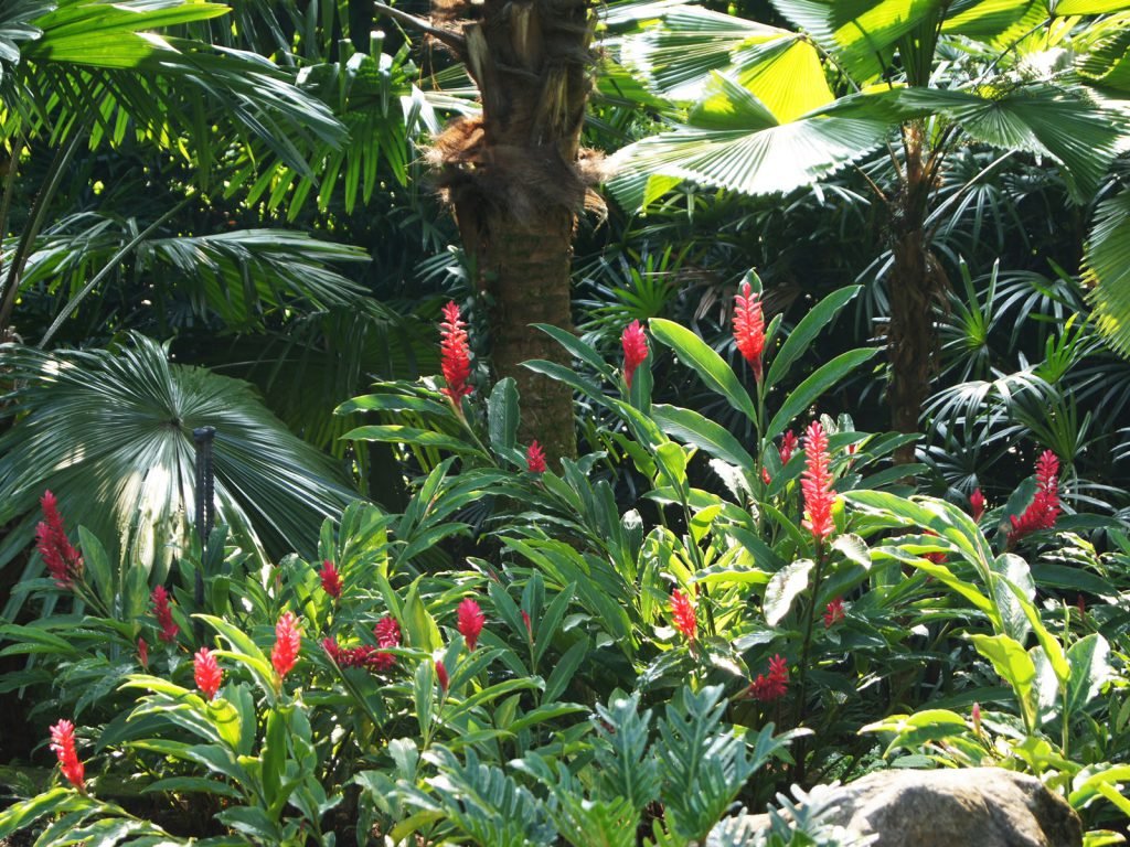 Hoogtepunten | Rama Tours