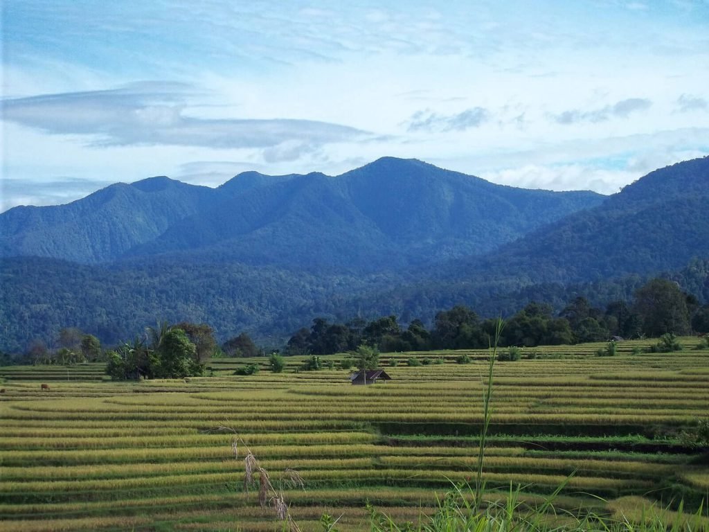 Hoogtepunten | Rama Tours