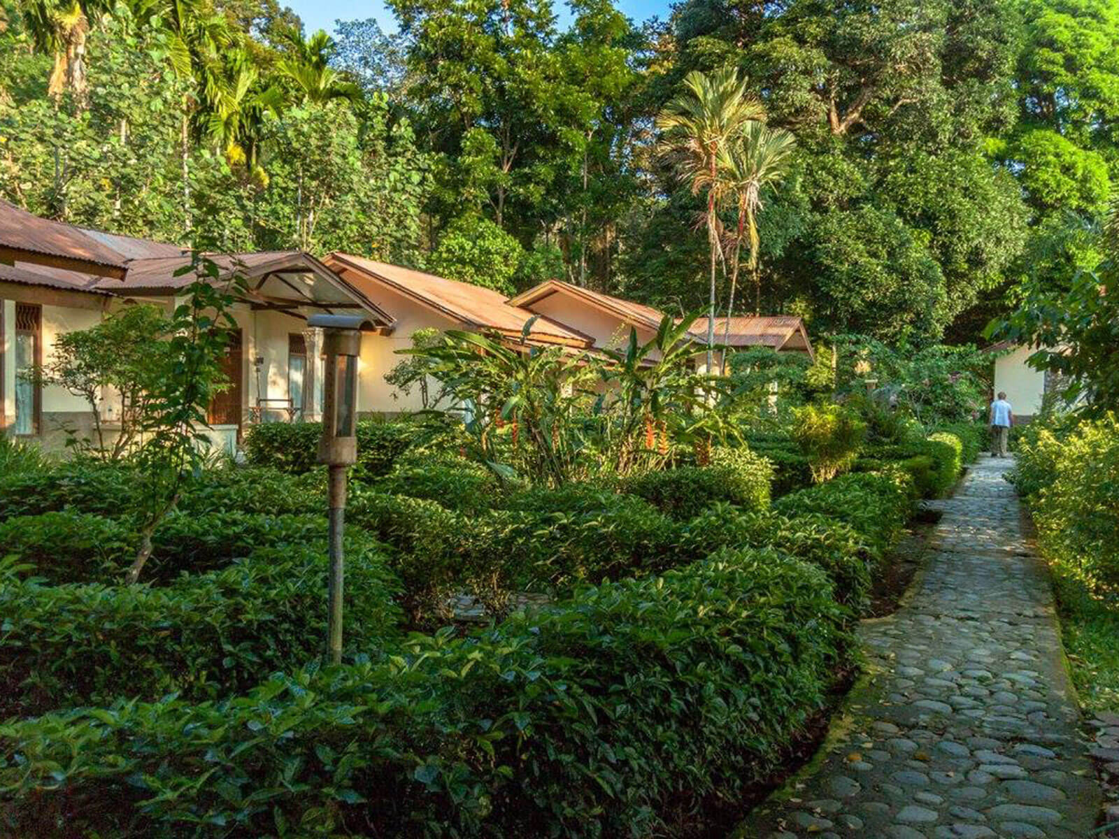 rondreis sumatra eco lodge bukit lawang 17
