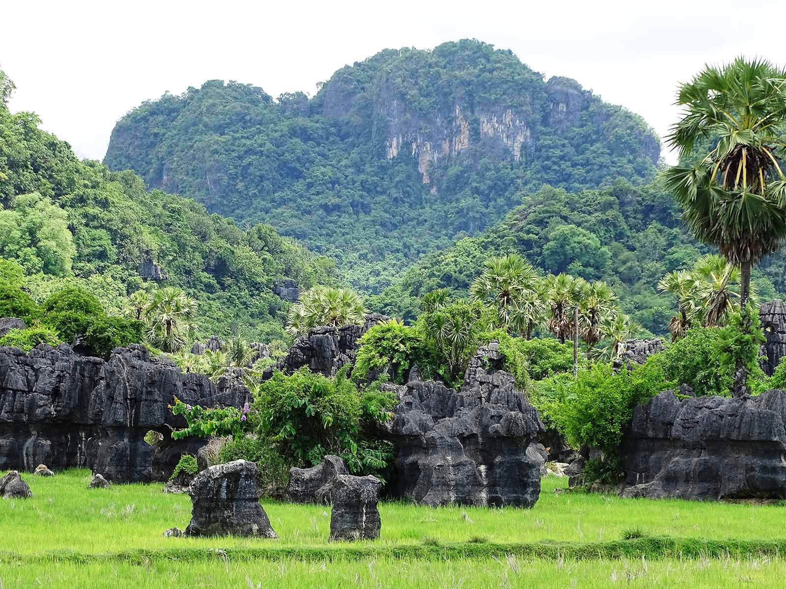 rondreis indonesie sulawesi rammang rammang 10