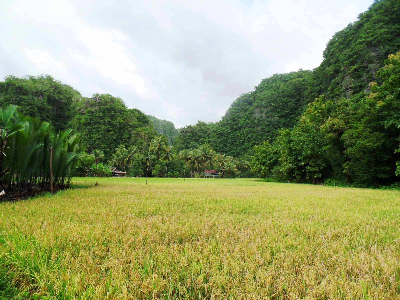 rondreis indonesie sulawesi rammang rammang 3