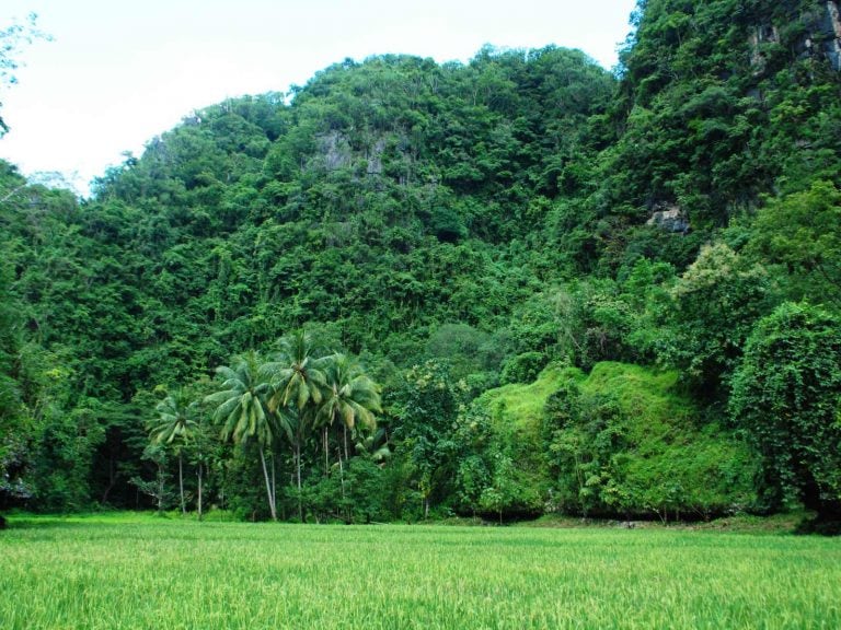 Hoogtepunten | Rama Tours