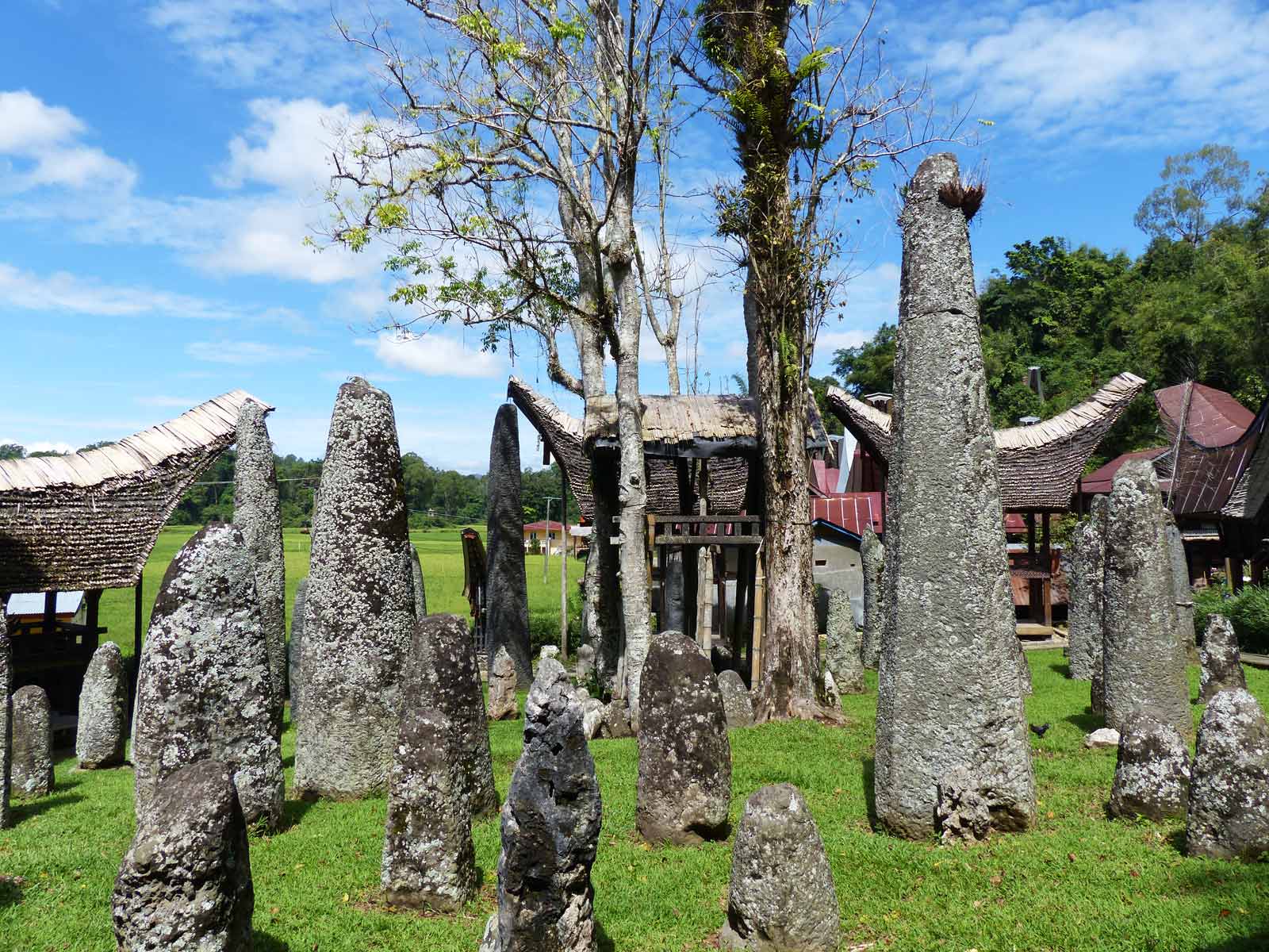 rondreis indonesie sulawesi tana toraja 28
