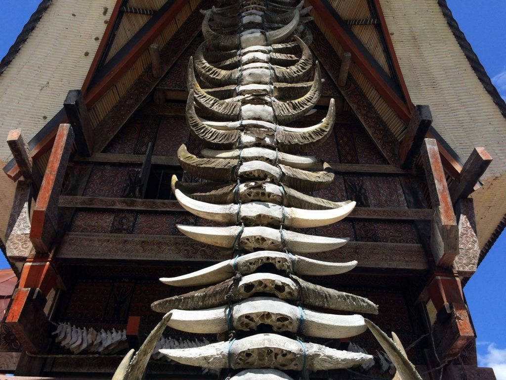 Hoogtepunten | Rama Tours