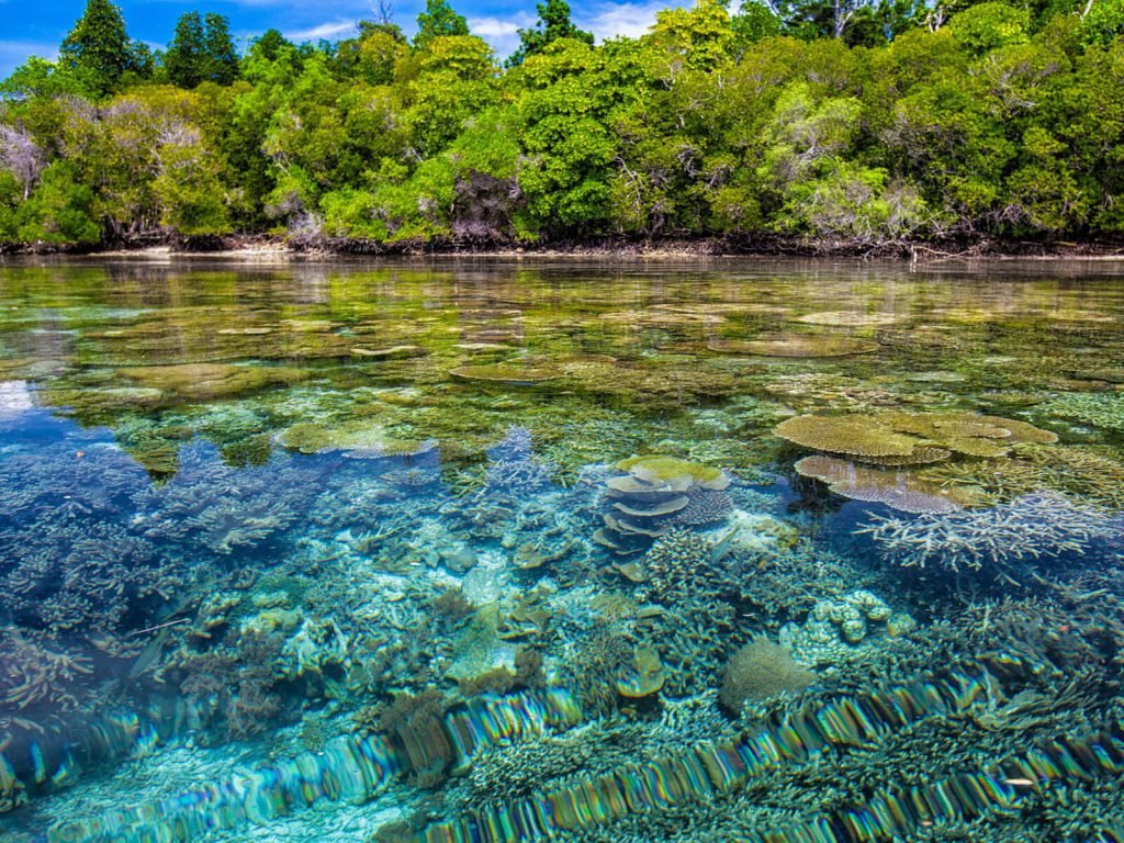 rondreis sulawesi bunaken hoogtepunt 1